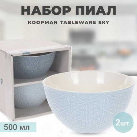 Набор пиал Koopman tableware Sky 500 мл 2  шт в Казани 