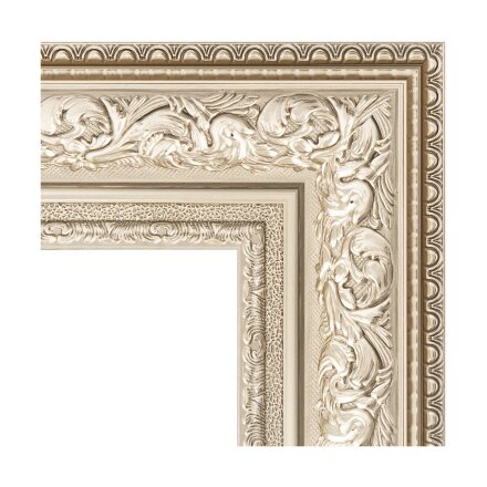 Зеркало напольное с гравировкой в багетной раме Evoform виньетка серебро 109 мм 85x205 см в Казани 