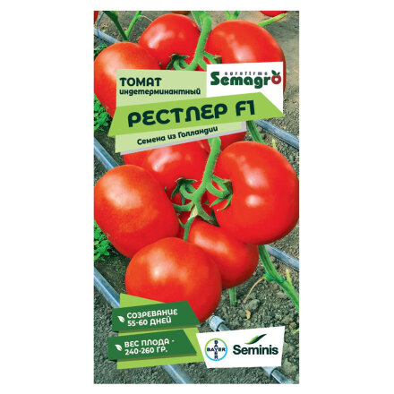 Семена Seminis томат индетерминантный рестлер f1 в Казани 