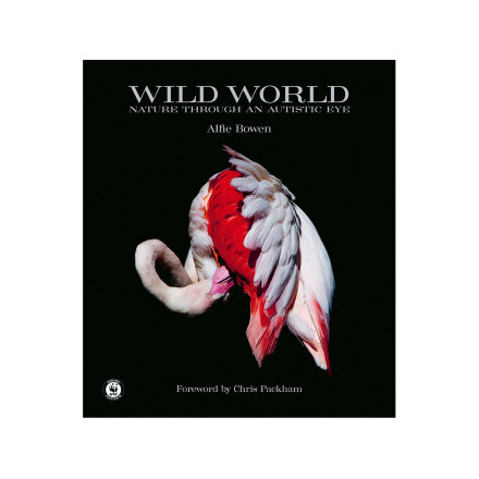 Wild World Книга в Казани 