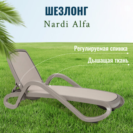 Шезлонг Nardi Alfa Grey Tortora (404161012417F/4041610124) в Казани 