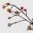 Ветка с цветами Конэко-О 108514 в ассортименте в Казани 