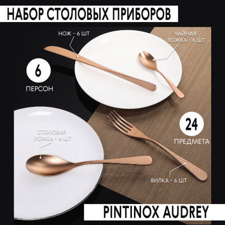 Набор столовых приборов Pintinox Audrey Cop 24 предмета 6 персон в Казани 