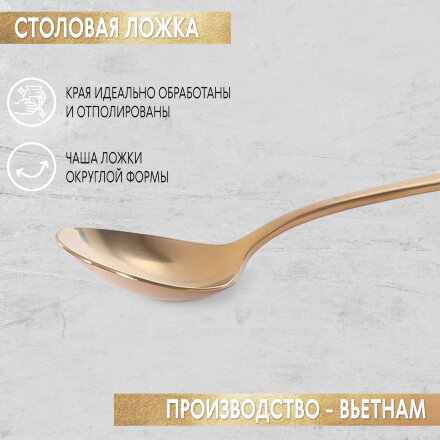 Набор столовых приборов Pintinox Satin 24 предмета 6 персон в Казани 